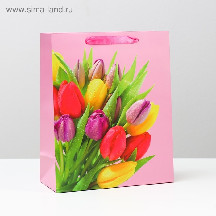 Пакет ламинированный, 26 x 32 x 12 см Пакет ламинированный, 26 x 32 x 12 см