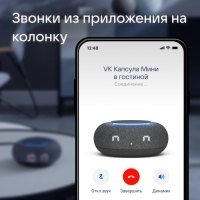 Умная колонка VK Капсула  мини (MRC02BK), голосовой помощник Маруся,5Вт,Wi-Fi, BT4.2, черная