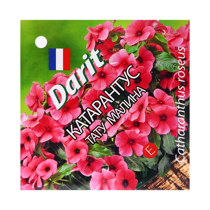 Семена цветов Катарантус  Семена цветов Катарантус "Тату Малина", 7 шт