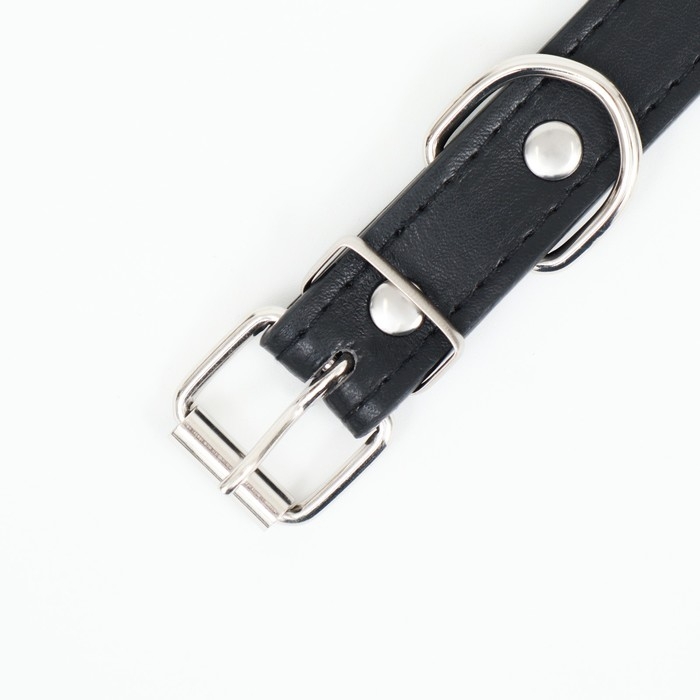 Ошейник  Ошейник "Лион" с шипами 45 х 2 см, ОШ 34-40 см, искусственная кожа, чёрный