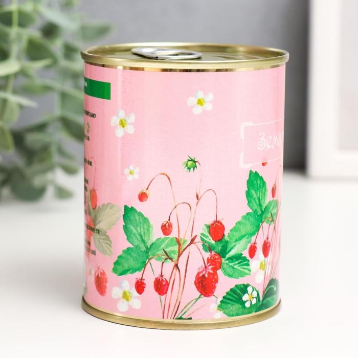 Растущий подарок травка "Земляника"