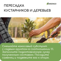 Субстрат Greengo кокосовые чипсы, натуральный грунт для террариумов и растений, в брикете, 5 л при разбухании