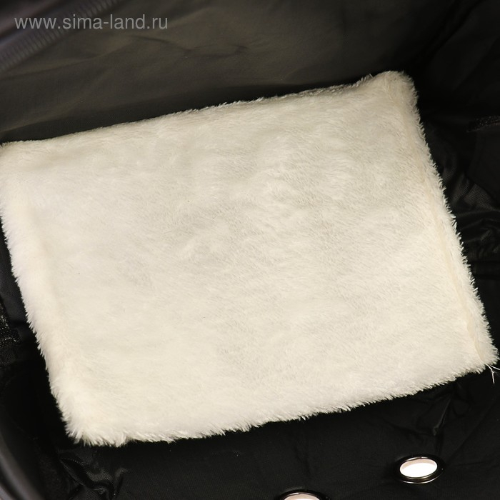 Рюкзак для переноски кошек и собак  Рюкзак для переноски кошек и собак "Бабочка", с окном, 32 х 26 х 44 см, голубой