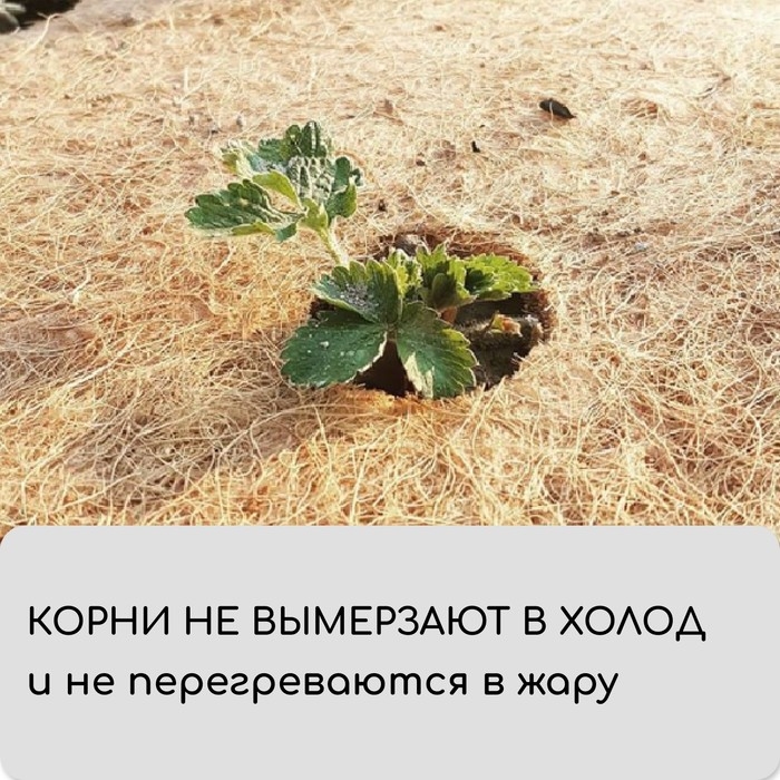 Кокосовое полотно для мульчирования, 5 × 0,5 м, «Мульчаграм» Кокосовое полотно для мульчирования, 5 × 0,5 м, «Мульчаграм»