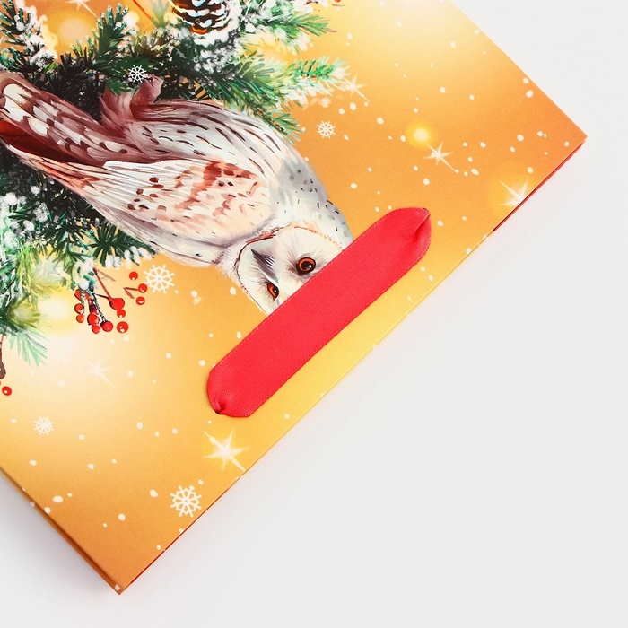 Пакет подарочный новогодний ламинированный Пакет подарочный новогодний ламинированный "Совушка", 23 х 17,8 х 9,8 см.