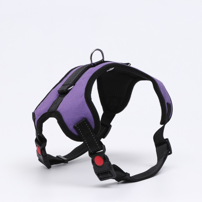 Шлейка К7 мягкая светоотражающая, размер XL, ОГ 74-92 см, вес 28-47,5 кг, фиолетовая Шлейка К7 мягкая светоотражающая, размер XL, ОГ 74-92 см, вес 28-47,5 кг, фиолетовая