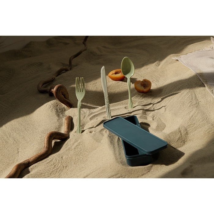 Набор столовых приборов в футляре Доляна, вилка, ложка, нож, цвет МИКС Набор столовых приборов в футляре Доляна, вилка, ложка, нож, цвет МИКС