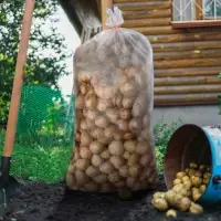Мешок для урожая, полипропиленовый, 55 × 95 см, на 50 кг, прозрачный, с завязками