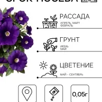 Семена цветов Петуния &laquo;Синее море&raquo; крупноцветковая, 0.05 г