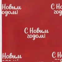 Бумага упаковочная глянцевая двухсторонняя &laquo;Вкусный Новый год&raquo;, 70&times;100 см