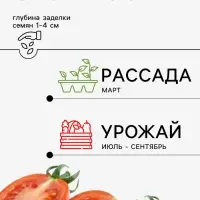 Семена Томат, &laquo;Мей Шуай&raquo;, F1, 5 шт., Seminis, &laquo;Агрос&raquo;