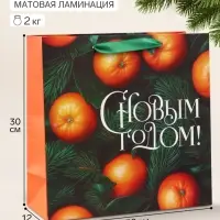 Пакет подарочный &laquo;С Новым годом&raquo;, мандарины, 30&times;30&times;12 см