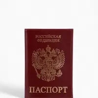 Обложка для паспорта, с гербом, тиснение фольгой, гладкая, бордовая