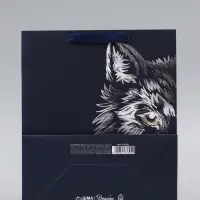 Пакет подарочный ламинированный, упаковка, &laquo;Сильному духом&raquo;, ML 23&times;27&times;11.5 см