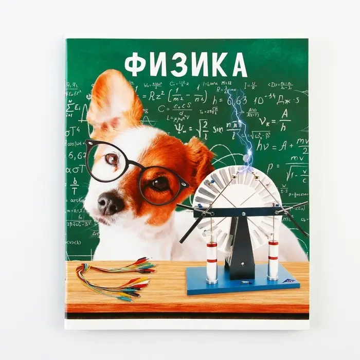 Тетрадь в клетку, предметная, 48 л.,на скрепке, А5 &laquo;МИЛЫЕ ПИТОМЦЫ. Физика&raquo;