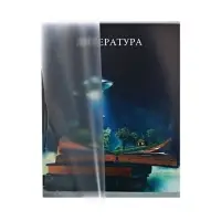 Предметная тетрадь по литературе Calligrata TOP &laquo;Школьный стиль&raquo;, 48 листов, в линейку, со справочным материалом, пластиковая обложка