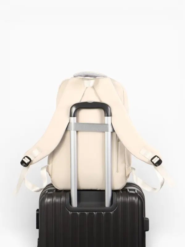 Рюкзак школьный, &laquo;Уставший кот&raquo;, 5 карманов, 2 отделения, 31&times;13.5&times;45 см, сливочный