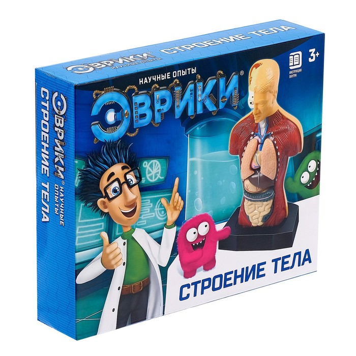 Научный опыт «Строение тела» Научный опыт «Строение тела»
