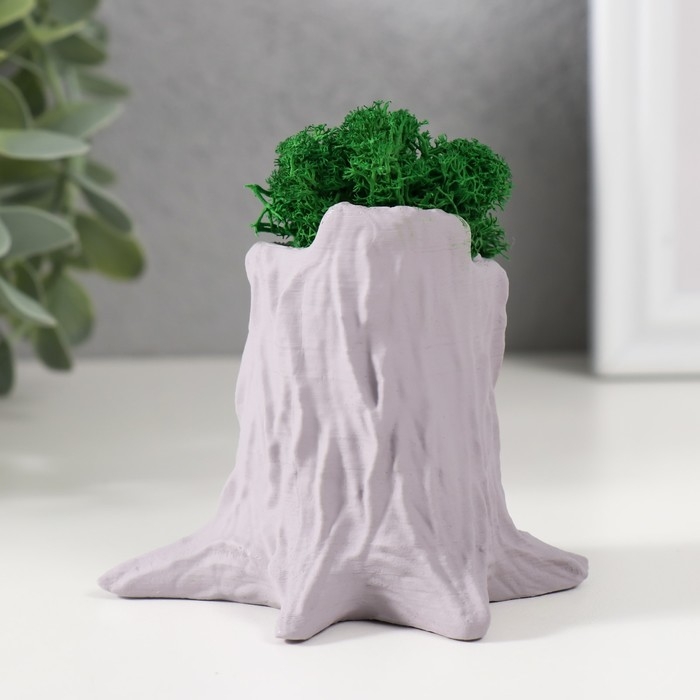 Кашпо бетонное Кашпо бетонное "Пенек" 7,5х8,5х7 см серый со мхом (мох зеленый стабилизированный)