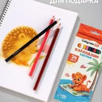 Карандаши Calligrata, цветные, 24 цвета, эконом, шестигранные, пластиковые