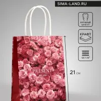Пакет подарочный крафт Present, 15×8×21 см