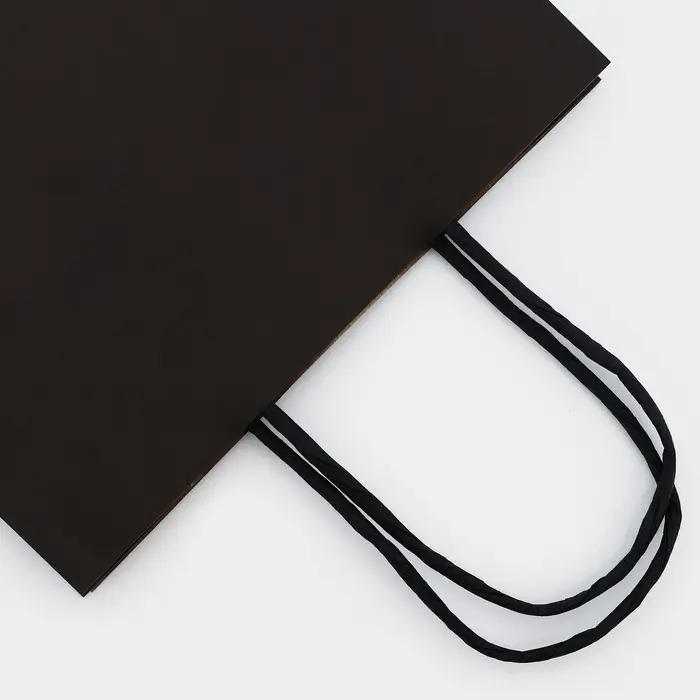 Пакет крафт «Радуга», чёрный, 18×8×25 см, 80 г/м², 1 шт. Пакет крафт «Радуга», чёрный, 18×8×25 см, 80 г/м², 1 шт.