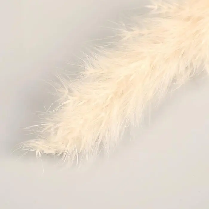 Декор сухоцвет &laquo;Кортадерия&raquo;, h=65 см, фасовка 5 шт., цена за 1 шт., белый