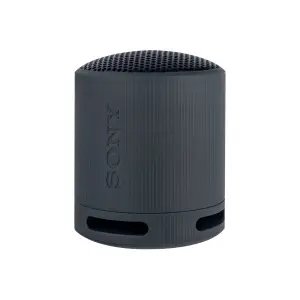 Портативная Bluetooth колонка SRS-XB100 Черный