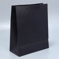 Пакет подарочный ламинированный, упаковка, &laquo;Чёрный&raquo;, M 26&times;30&times;9 см