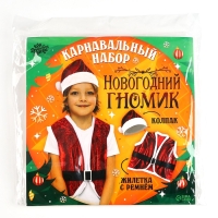 Карнавальный набор «Новогодний гномик»: жилетка, ремень, колпак, рост 98-110 см, красный