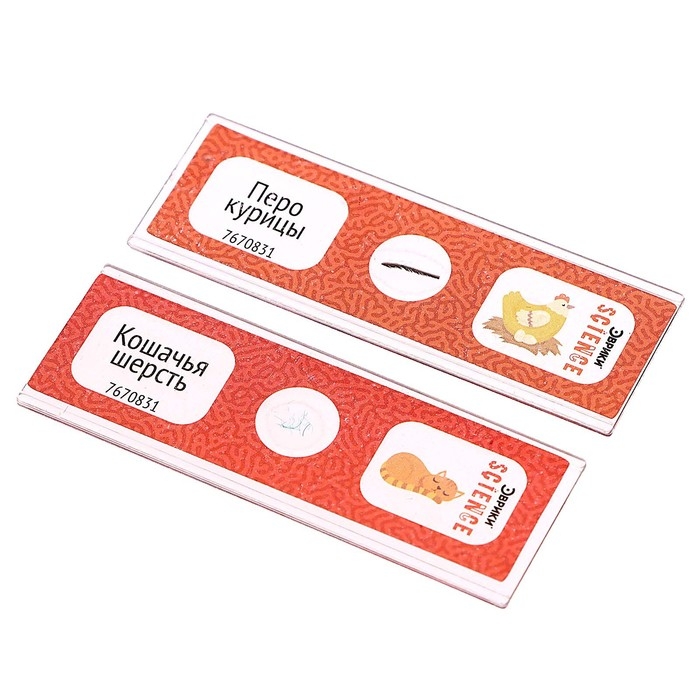 Набор для опытов «Набор микропрепаратов», животные Набор для опытов «Набор микропрепаратов», животные