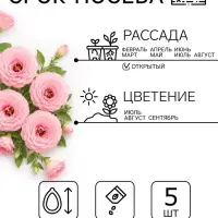 Семена цветов Эустома махровая "Велюр", розовая, F1, в ампуле, 0,005 г.