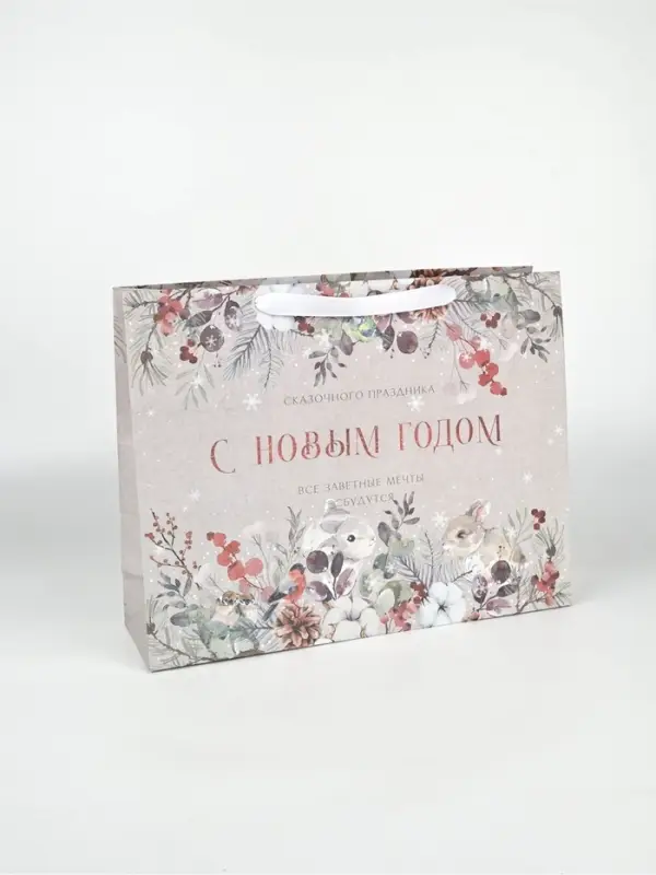 Набор новогодних пакетов &laquo;Спешу поздравить&raquo;