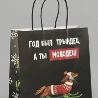 Пакет подарочный крафт &laquo;Молодец&raquo;, 22&times;22&times;11 см