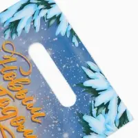 Подарочные пакеты, полиэтилен, набор 10 шт «Новый год», Чебурашка, 20 х 30 см