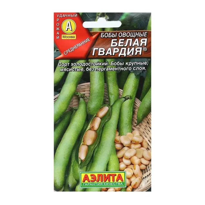 Семена Бобы овощные "Белая гвардия", 5  шт Семена Бобы овощные "Белая гвардия", 5  шт