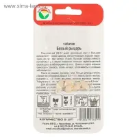 Семена Кабачок "Белый рыцарь", 5 шт. Семена Кабачок "Белый рыцарь", 5 шт.