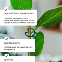 Набор креплений для растений, набор 50 шт., Greengo