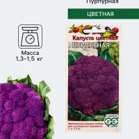 Семена Капуста цветная &laquo;Пурпурная&raquo;, 0.2 г, &laquo;Гавриш&raquo;