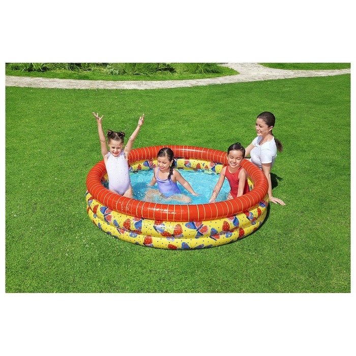 Бассейн надувной «Бабочка», 168 х 38 см, 51202 Бассейн надувной «Бабочка», 168 х 38 см, 51202