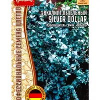 Семена Эвкалипт Silver Dollar пепельный   5шт.  12.29 г.