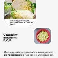 Семена Капуста цветная &laquo;Винсон&raquo;, F1, 10 шт., &laquo;Семена Алтая&raquo; селекция Seminis