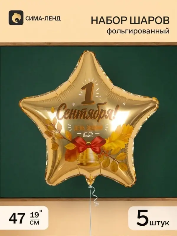 Воздушный шар фольгированный 19" &laquo;1 сентября&raquo;, набор 5 шт.