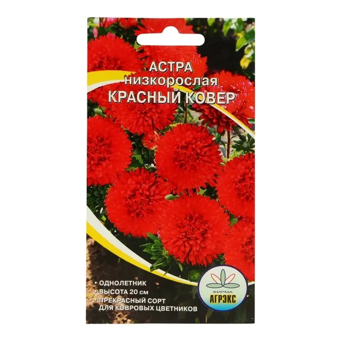 Семена Цветов Астра низкорослая Красный ковер , 0,2 г Семена Цветов Астра низкорослая Красный ковер , 0,2 г