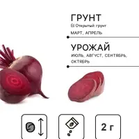 Семена Свекла &laquo;Египетская плоская&raquo;, 2 г, &laquo;Сембат&raquo;