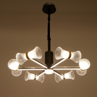 Люстра 1699/6 LED 100Вт 3000-6000К черный 73х73х60 см BayerLux