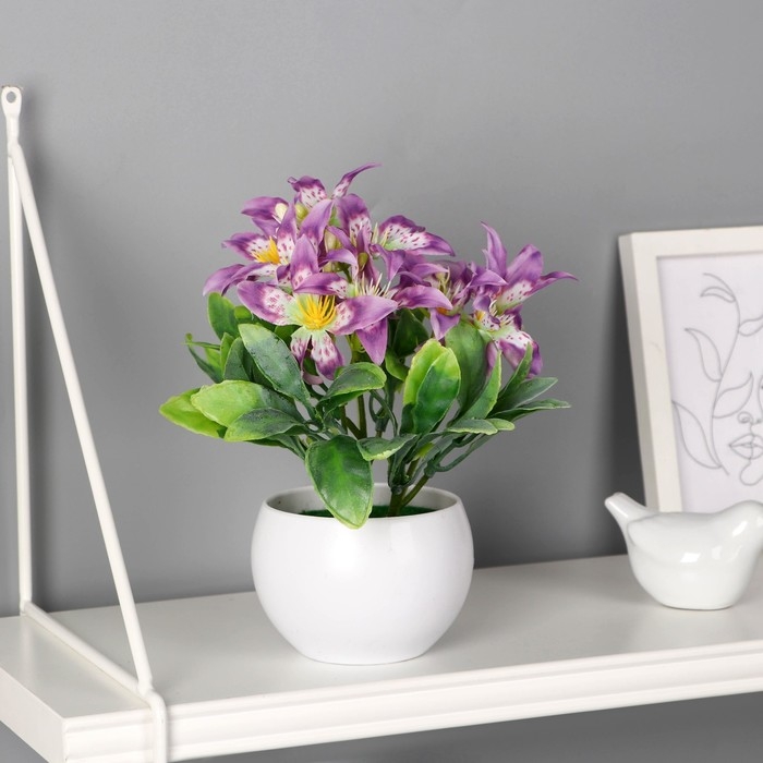 Бонсай в горшке Бонсай в горшке "Адениум элегант" 9х18 см, микс