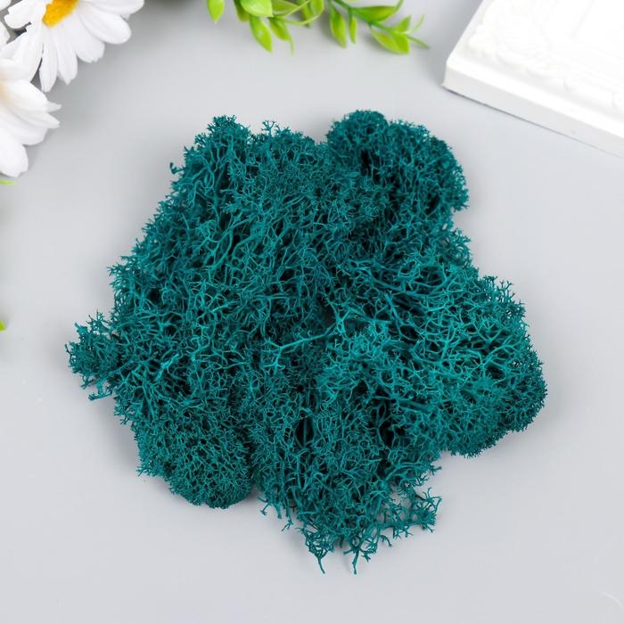 Мох стабилизированный Мох стабилизированный "Морская волна" МИКС 45 гр (+-5 гр)