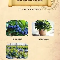 Грунт для Голубики PETER PEAT, линия &laquo;Хобби&raquo;, 20 л