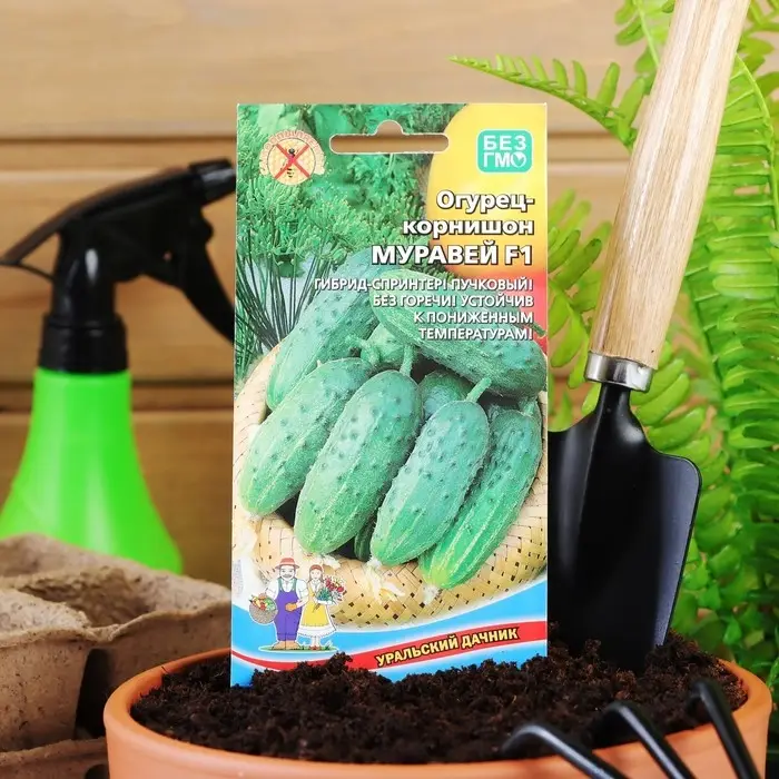 Семена Огурец Муравей F1 10 шт Семена Огурец Муравей F1 10 шт